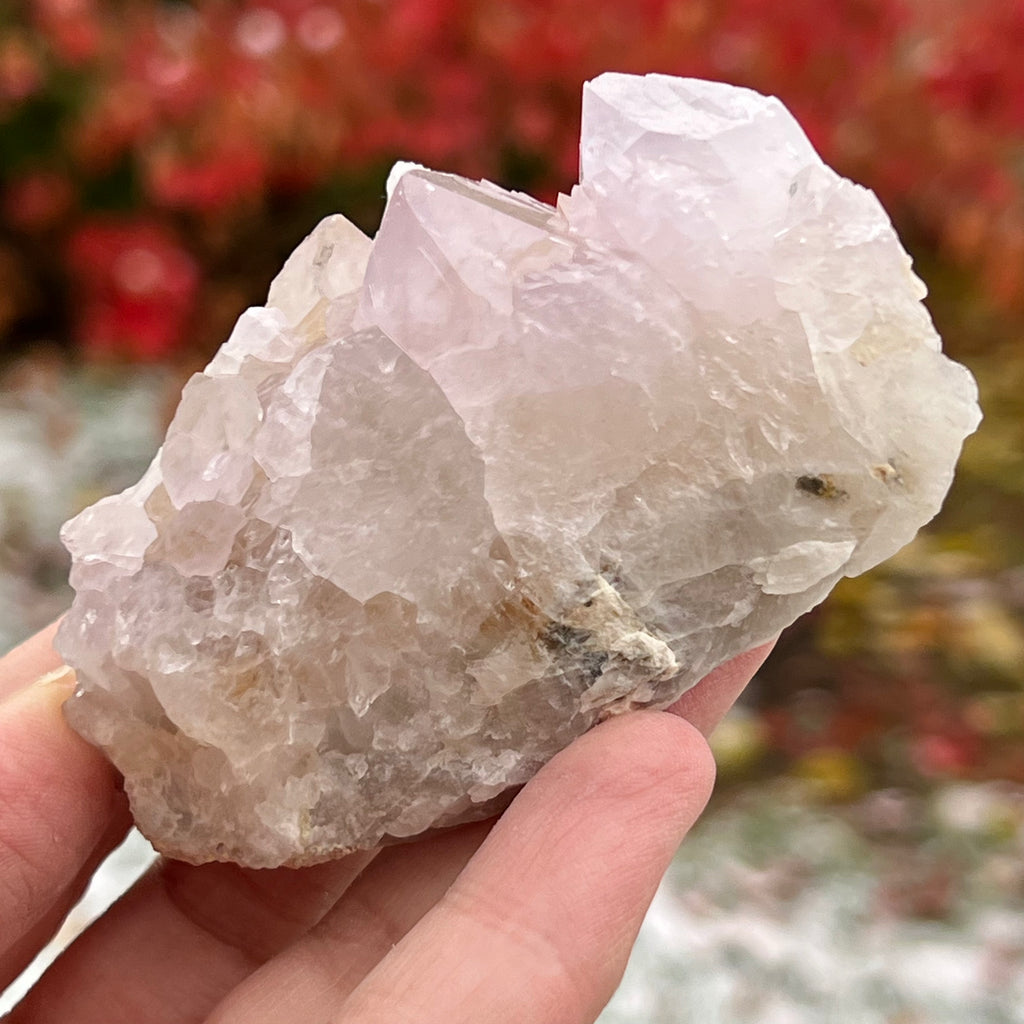 Cluster cuart cactus / cuart spirit ametist liliac model 8A, druzy.ro, cristale 1
