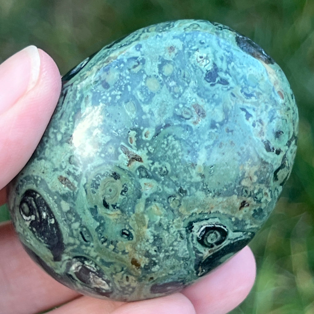 Palmstone jasp kambaba model 4, pietre semipretioase - druzy.ro 5 