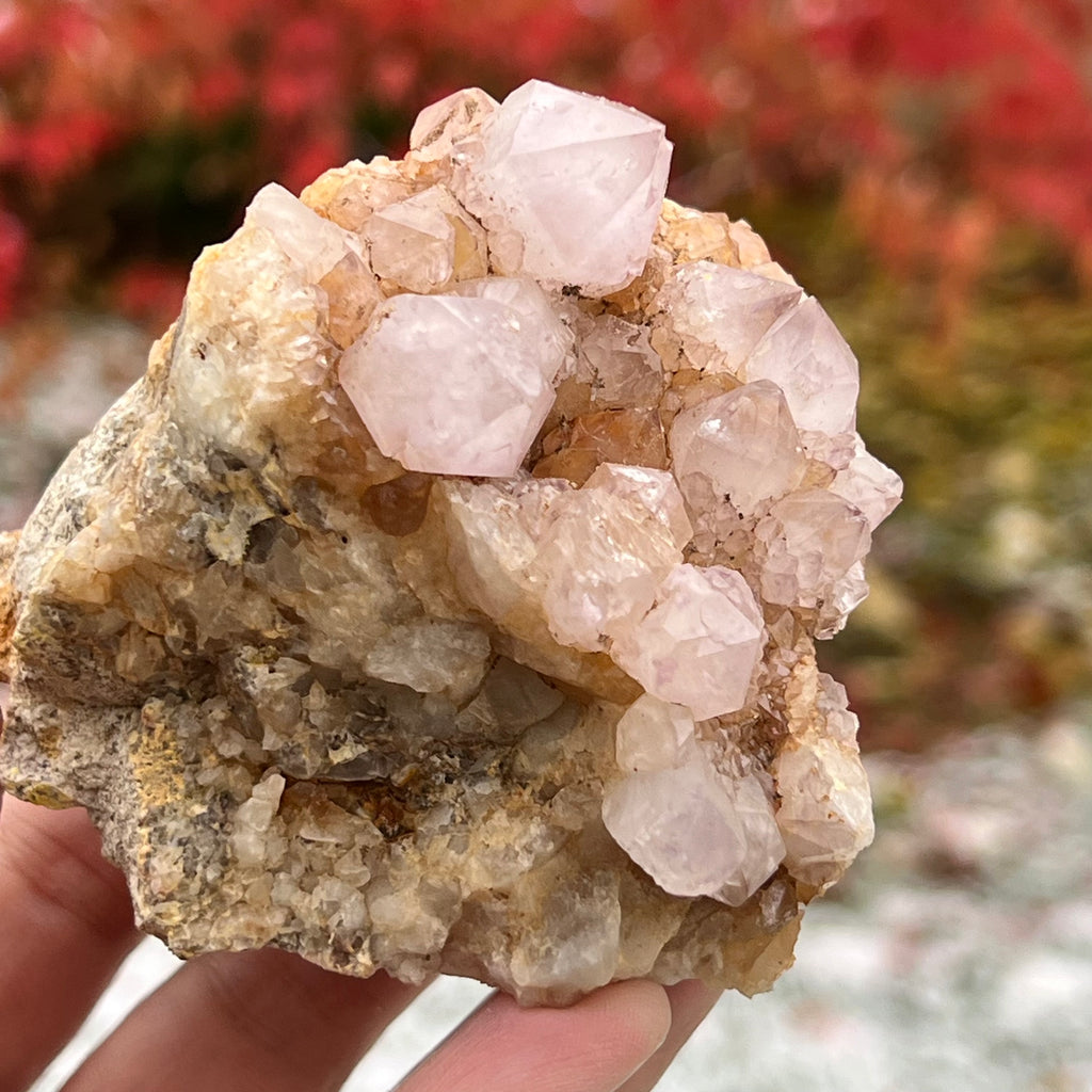 Cluster cuart cactus / cuart spirit ametist liliac model 16A, druzy.ro, cristale 3