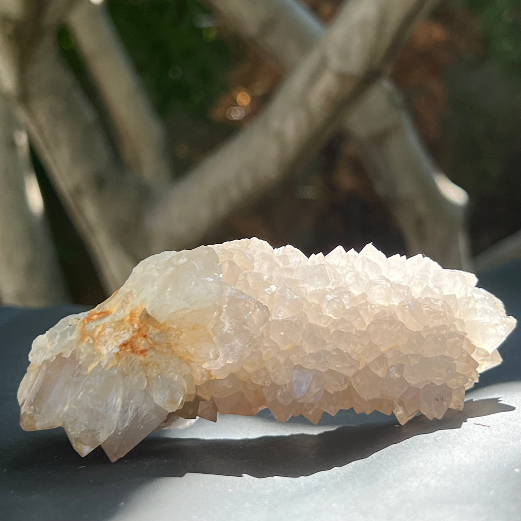 Cluster cuart cactus / cuart spirit FLOWER model F5, druzy.ro, pietre semipretioase 2