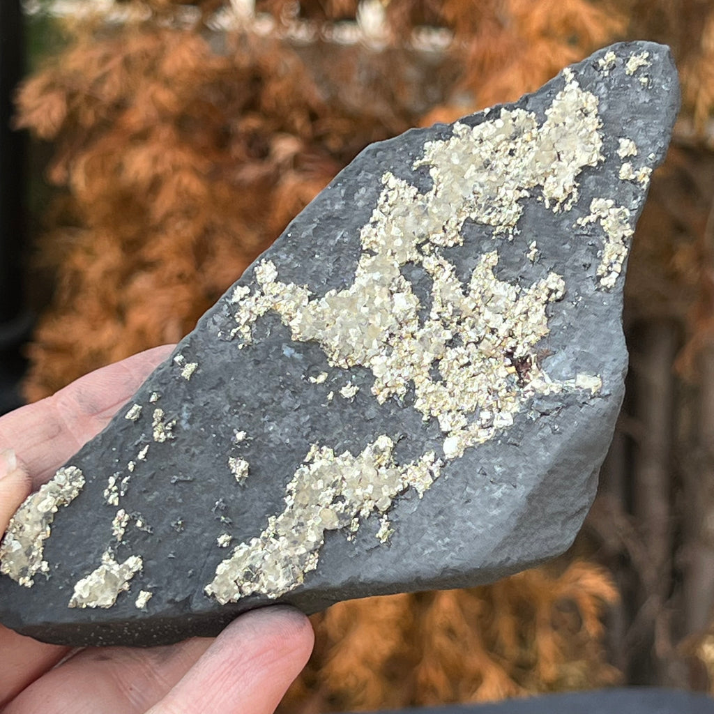 Shungit cu pirita model L1, druzy.ro, cristale 1