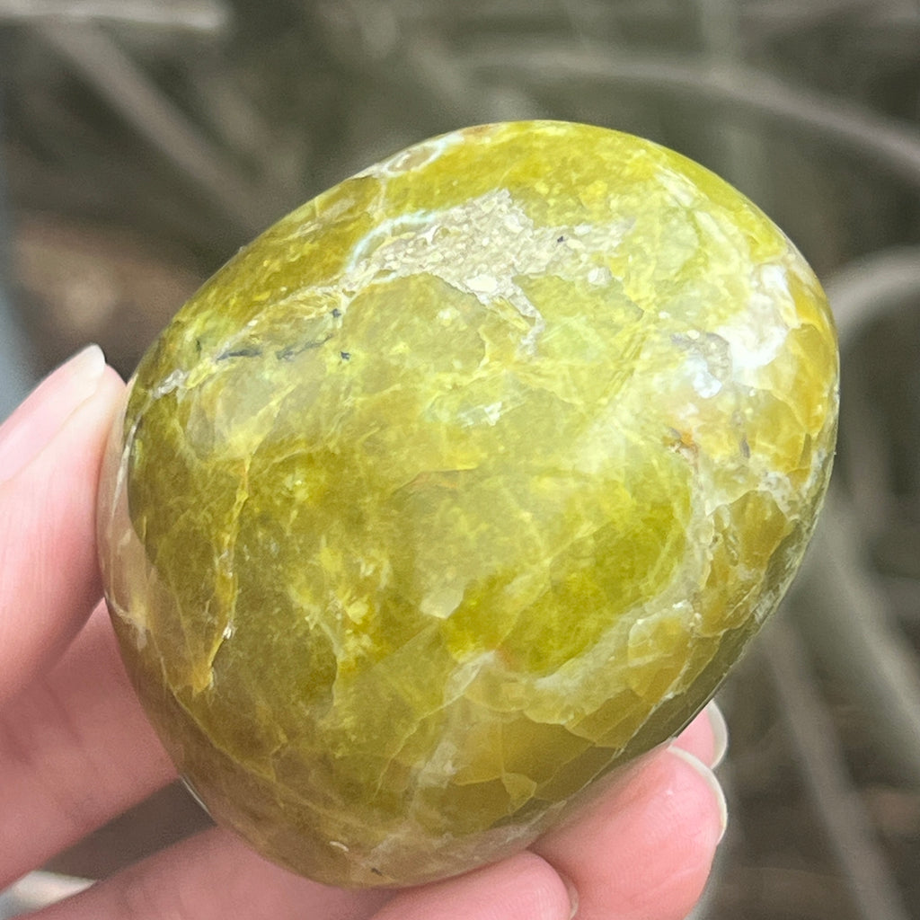 Opal verde palmstone m4, pietre semipretioase - druzy.ro 4 