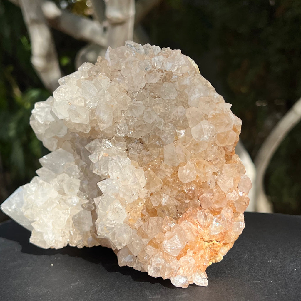 Cluster XL cuart cactus / cuart spirit model 1 Africa de Sud, druzy.ro, cristale 6