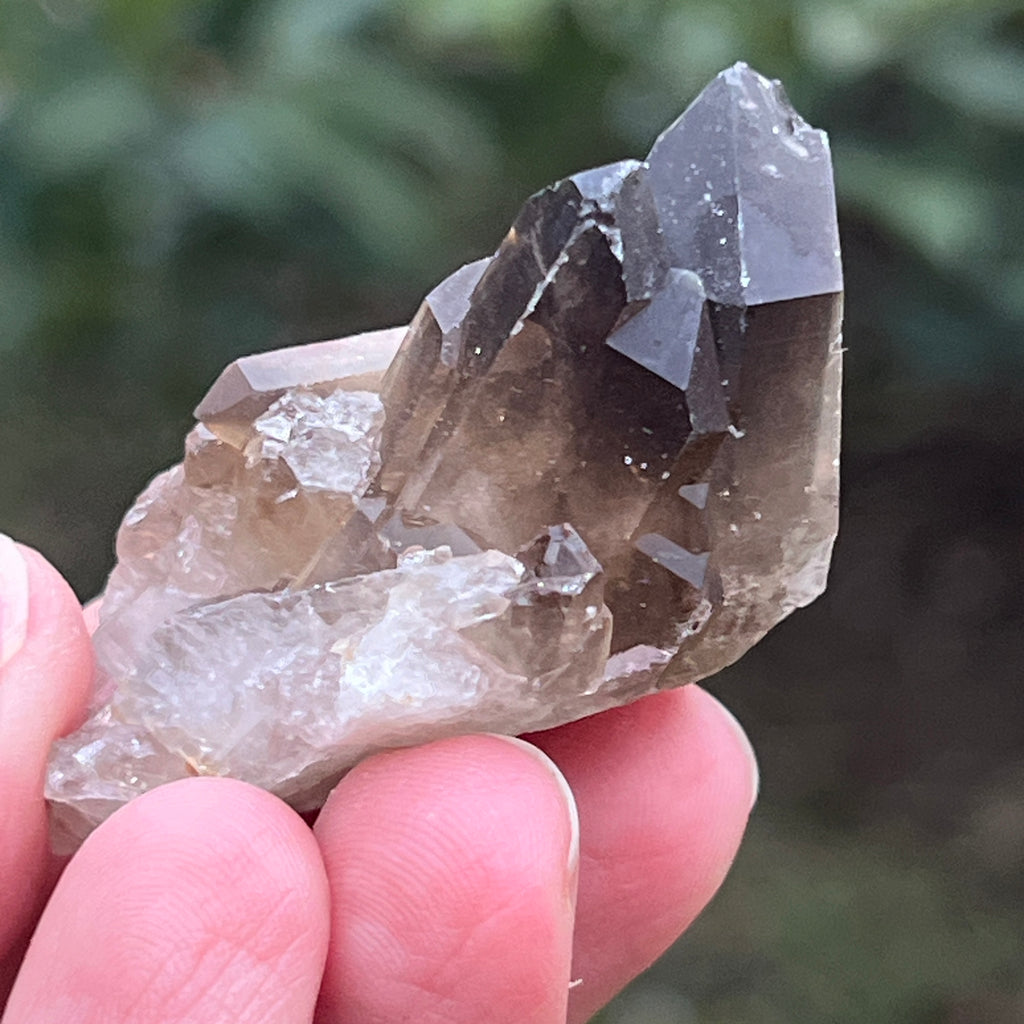 Cluster cuart fumuriu din Brazilia m5, pietre semipretioase - druzy.ro 5 