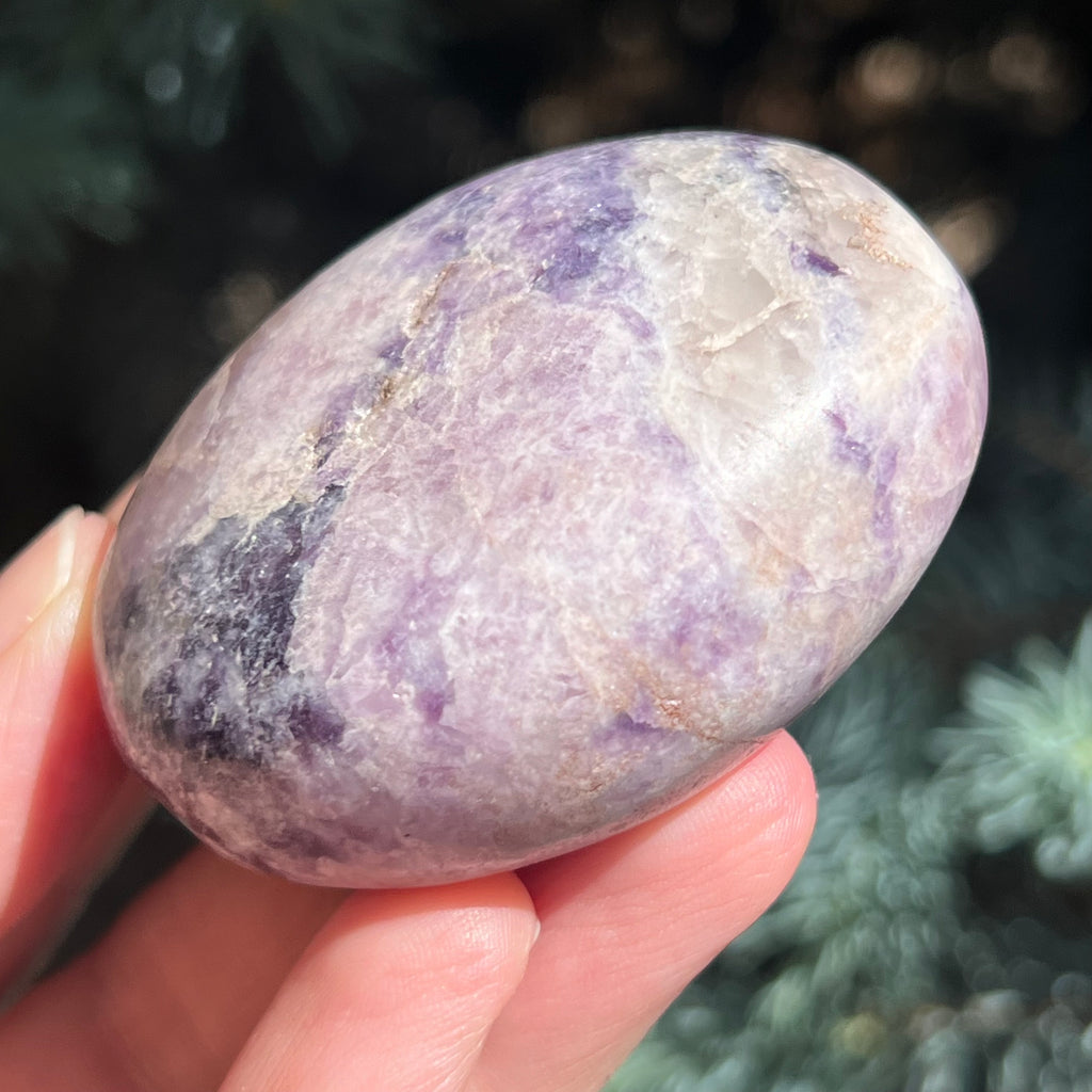 Lepidolit palmstone m6, druzy.ro, cristale 4