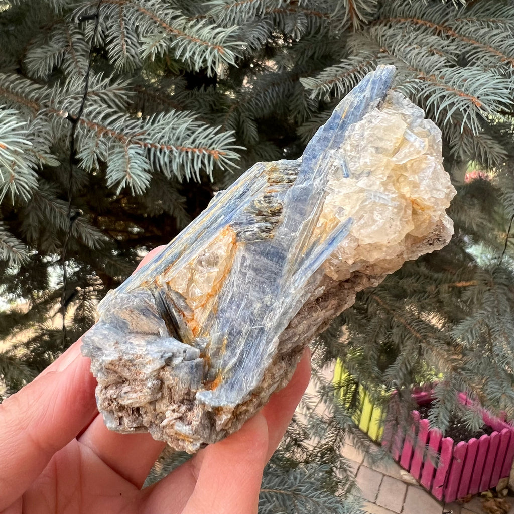 Kianit albastru (Cianit) piatra bruta din Zimbabwe model 9, druzy.ro, cristale 2