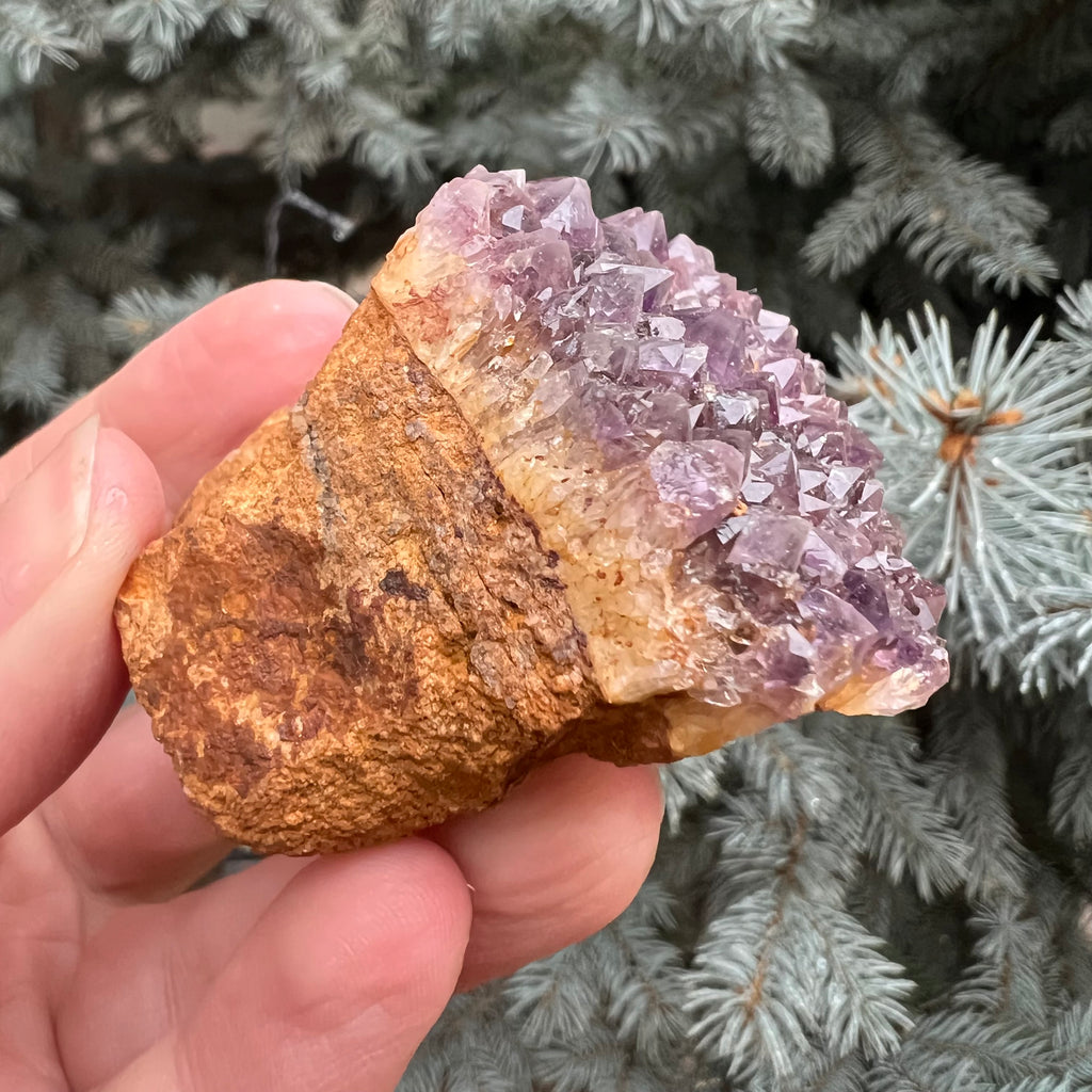 Ametist Spirit cluster Amethysos m5, druzy.ro, cristale 4