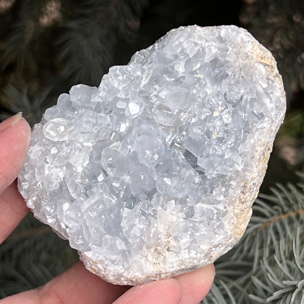 Celestit /celestina cluster m9, pietre semipretioase - druzy.ro 9 