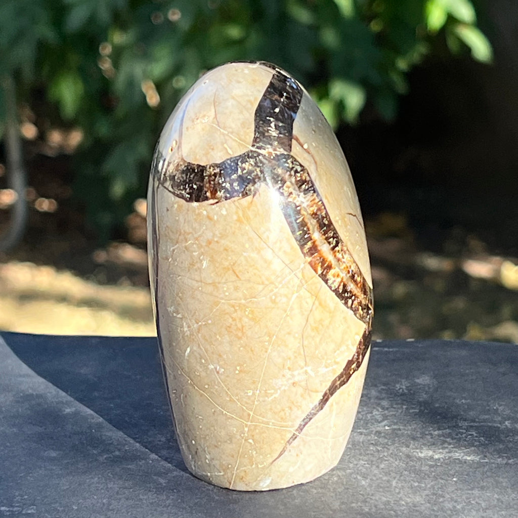 Septaria structura forma libera m1, piatra dragonului, druzy.ro, cristale 4