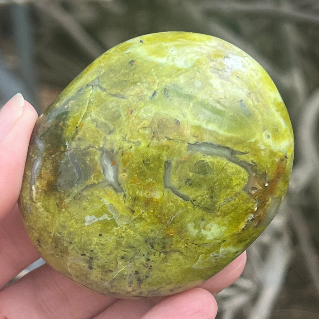 Opal verde palmstone m15, pietre semipretioase - druzy.ro 8 