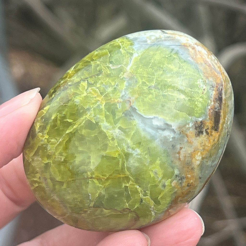 Opal verde palmstone m7, pietre semipretioase - druzy.ro 1 