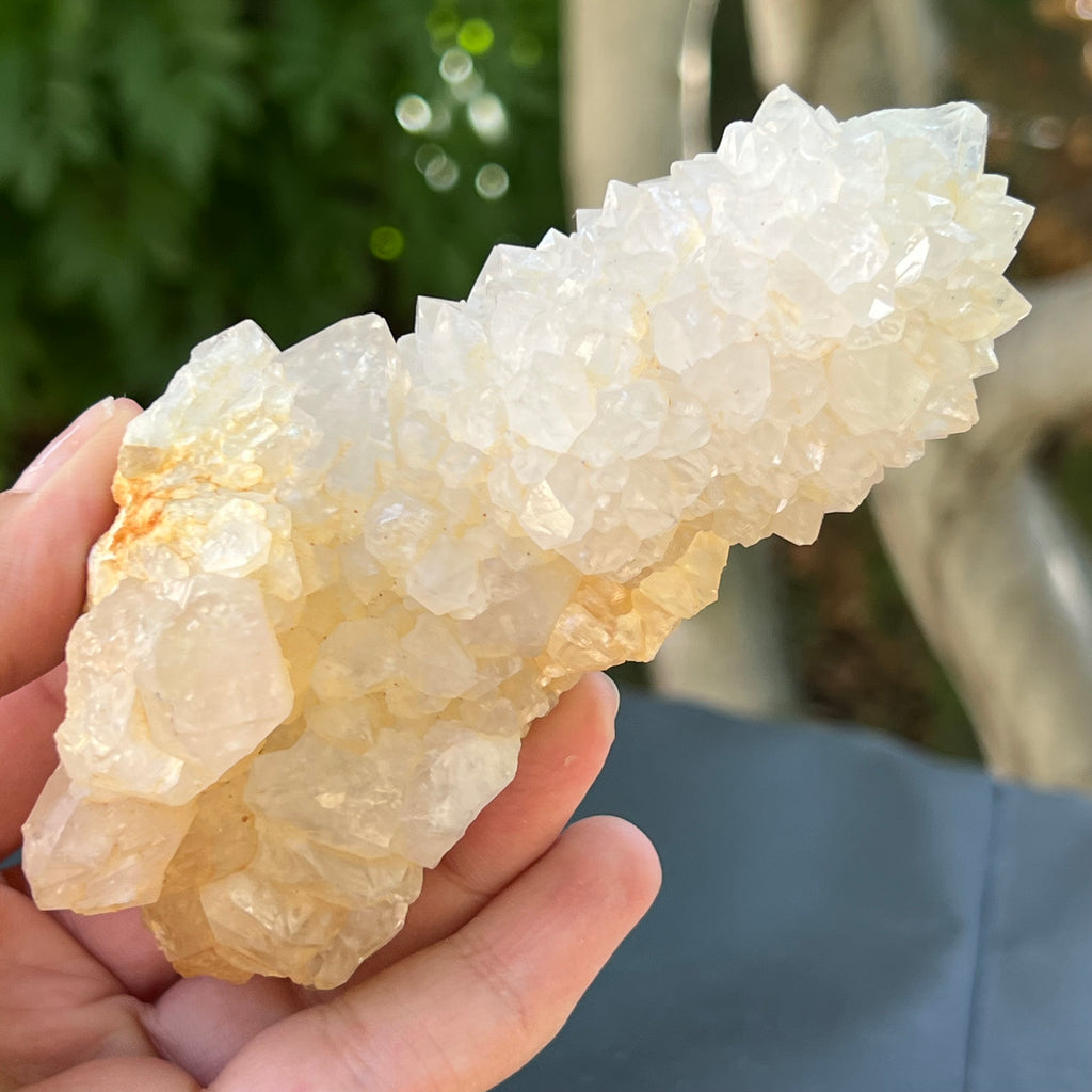 Cluster cuart cactus / cuart spirit FLOWER model F5, druzy.ro, pietre semipretioase 6