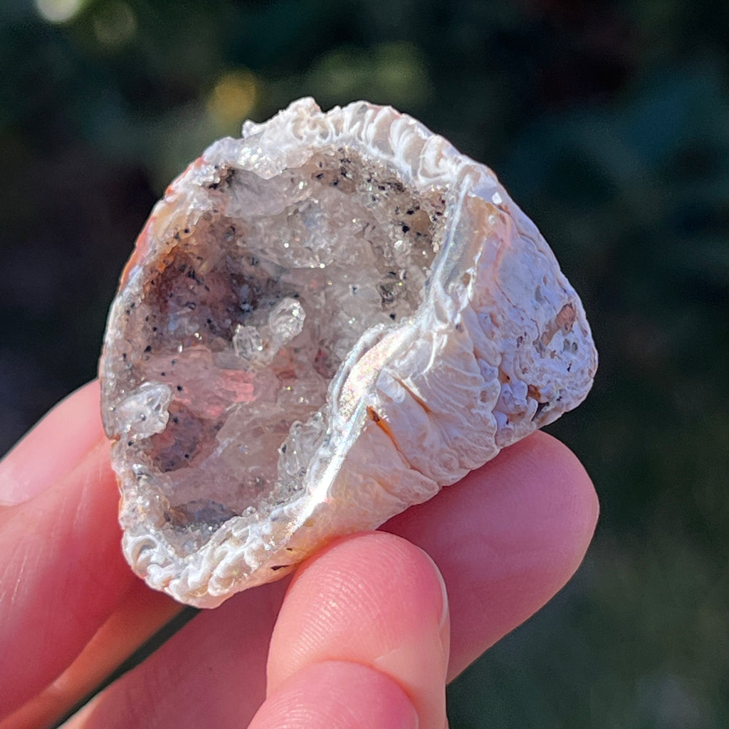 Cluster Agat FEATHER m1, agat cu cuart, pietre semipretioase - druzy.ro 4 