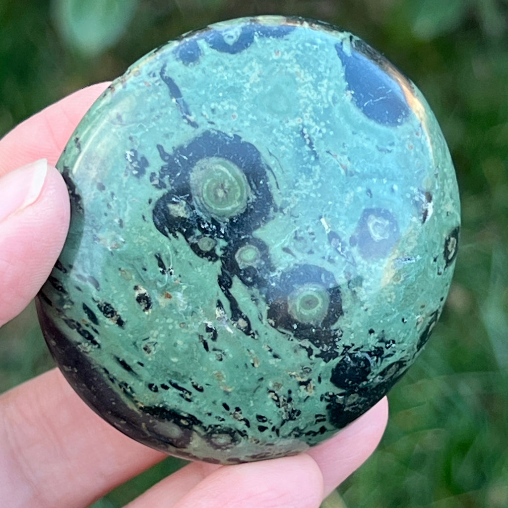 Palmstone jasp kambaba model 8, pietre semipretioase - druzy.ro 1 