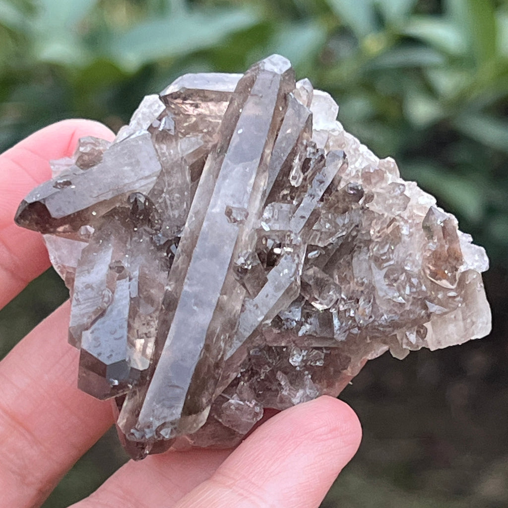 Cluster cuart fumuriu din Brazilia m6, pietre semipretioase - druzy.ro 3 