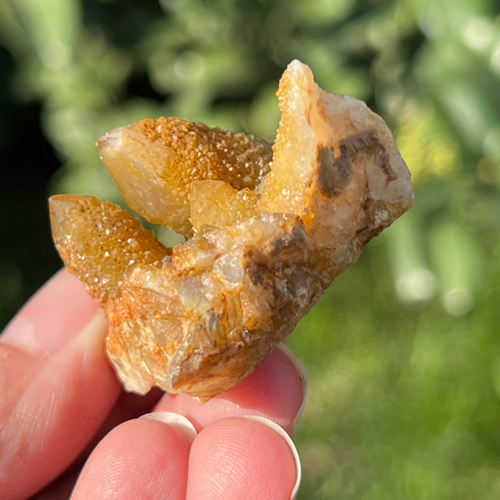 Cluster lemonit / cuart spirit solar Africa de Sud model 3, pietre semipretioase - druzy.ro 1 