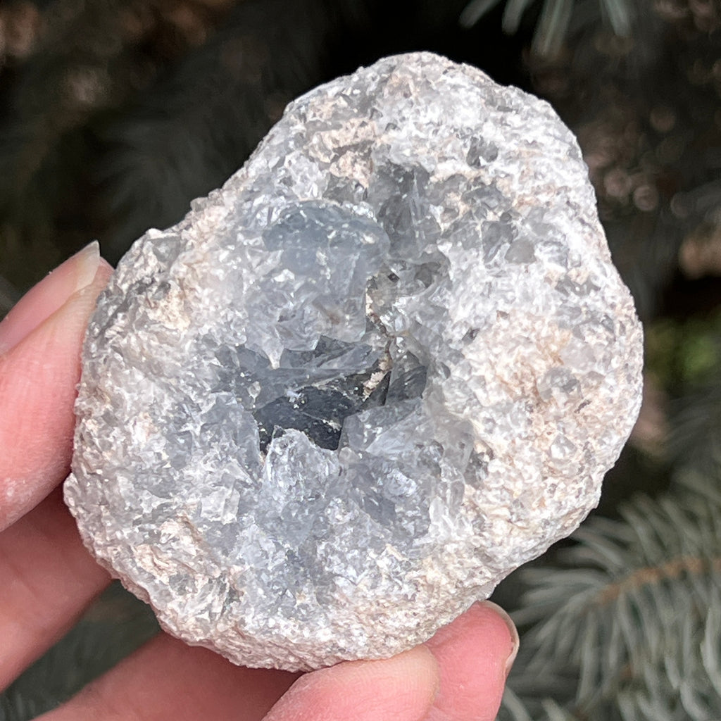 Celestit / celestina cluster m13, pietre semipretioase - druzy.ro 2 