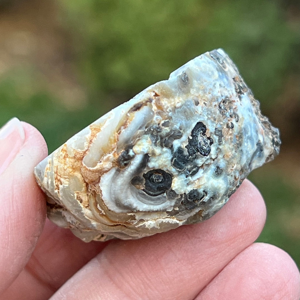 Cluster Agat FEATHER m9, agat cu cuart, druzy.ro, cristale 4