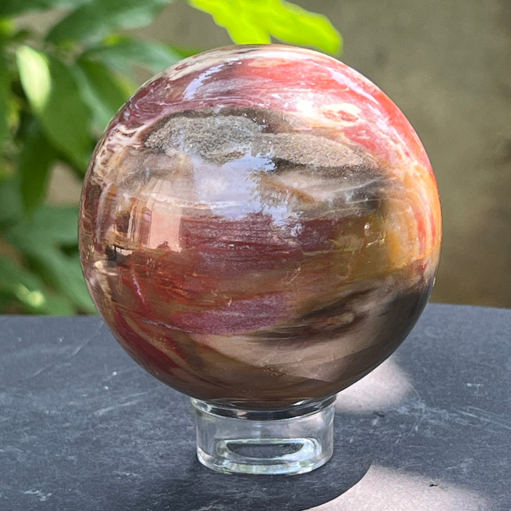Sfera lemn pietrificat | Model 1, pietre semipretioase - druzy.ro 5 
