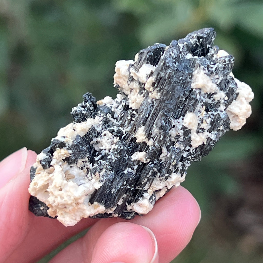 Cluster turmalina neagra cu vermiculita din Erongo m12, pietre semipretioase - druzy.ro 5 