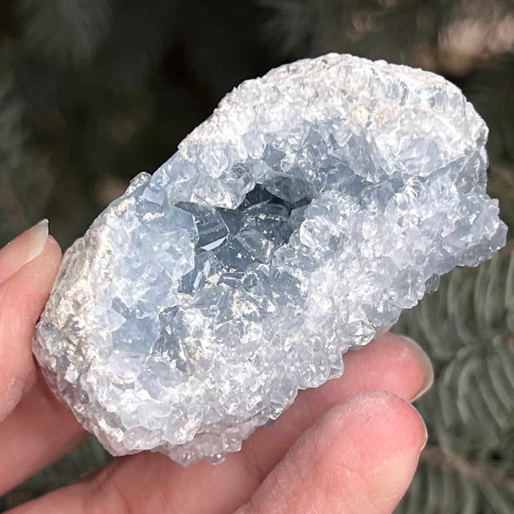 Celestit / celestina cluster m7, pietre semipretioase - druzy.ro 2 