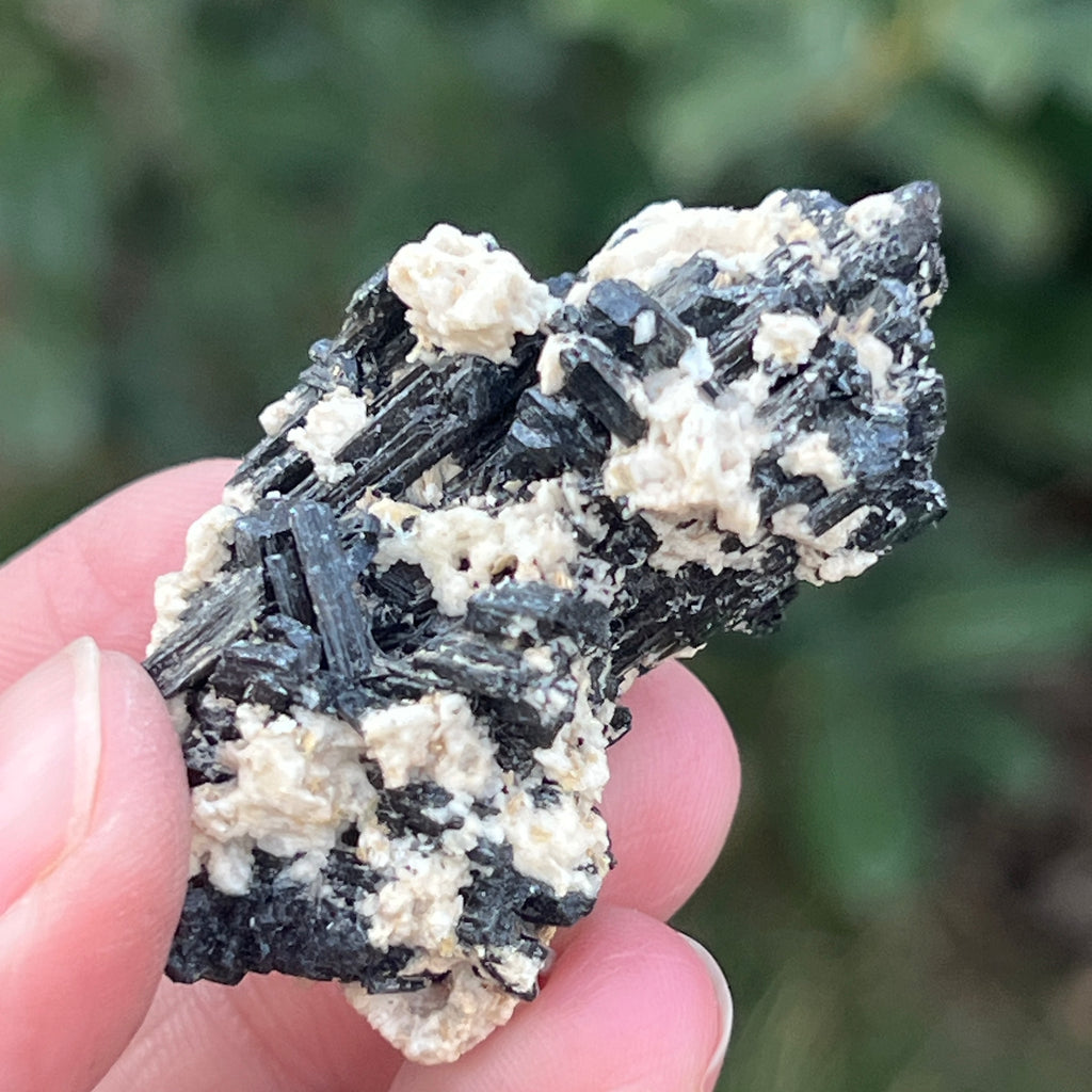 Cluster turmalina neagra cu vermiculita din Erongo m12, pietre semipretioase - druzy.ro 4 