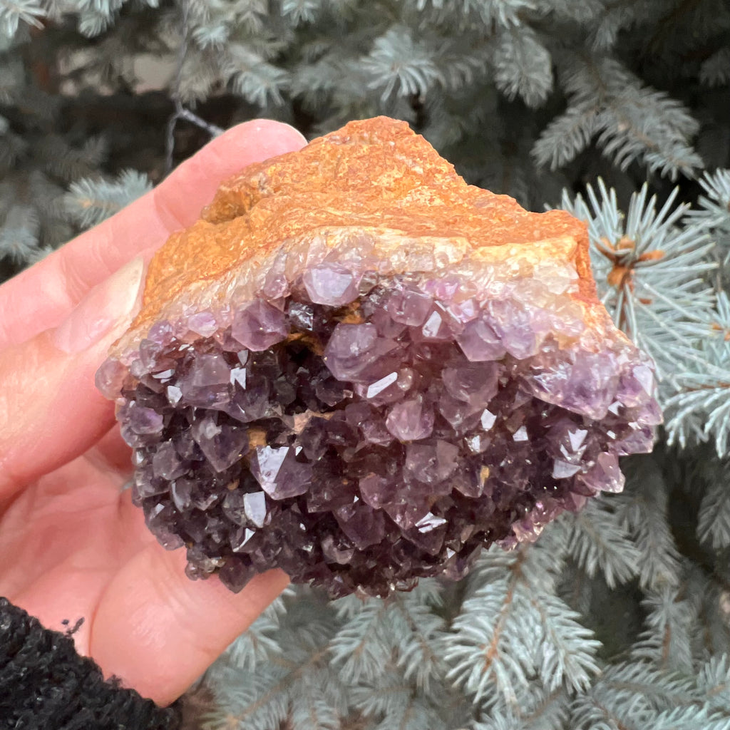 Ametist Spirit cluster Amethysos m5, druzy.ro, cristale 6