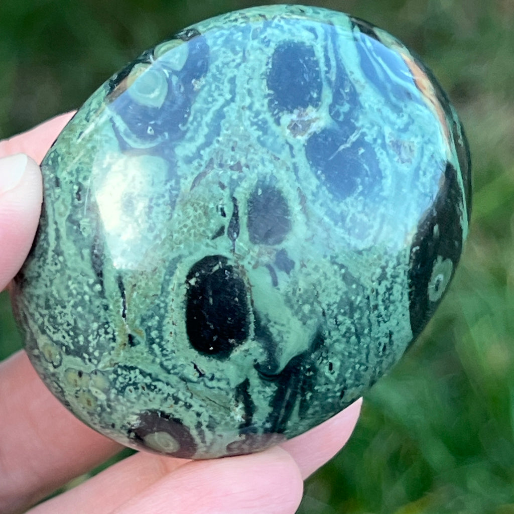 Palmstone jasp kambaba model 5, pietre semipretioase - druzy.ro 1 
