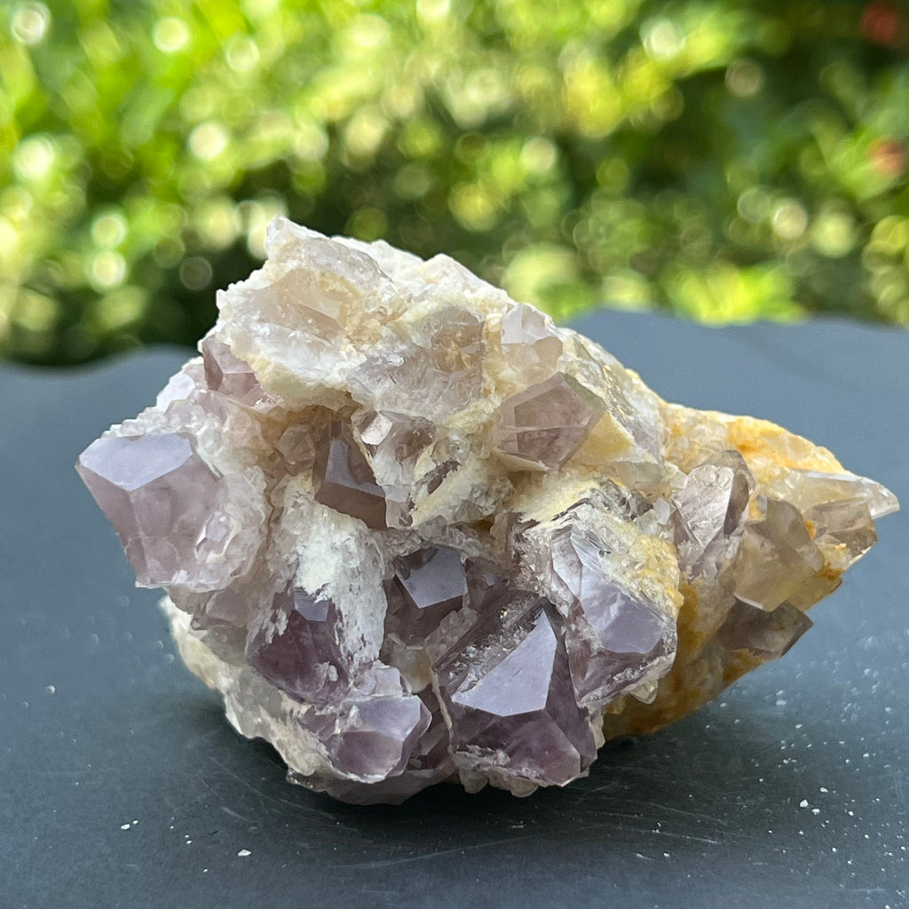 Cluster ametist sweet model 5a/5, din Zambia, pietre semipretioase - druzy.ro 4