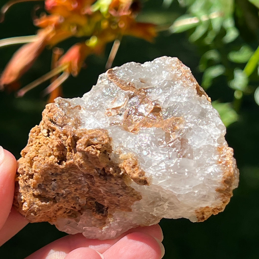Cluster cuart lamaie Zambia, golden healer model Lm7, pietre semipretioase - druzy.ro 4