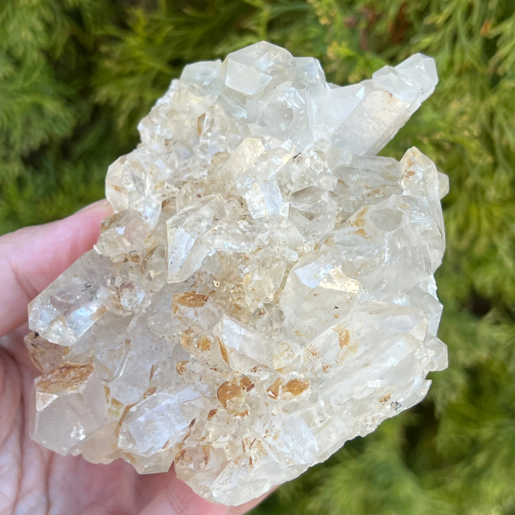 Cluster cuart incolor, floare de mina, cristal de stanca Zimbabwe m2, druzy.ro, cristale 4