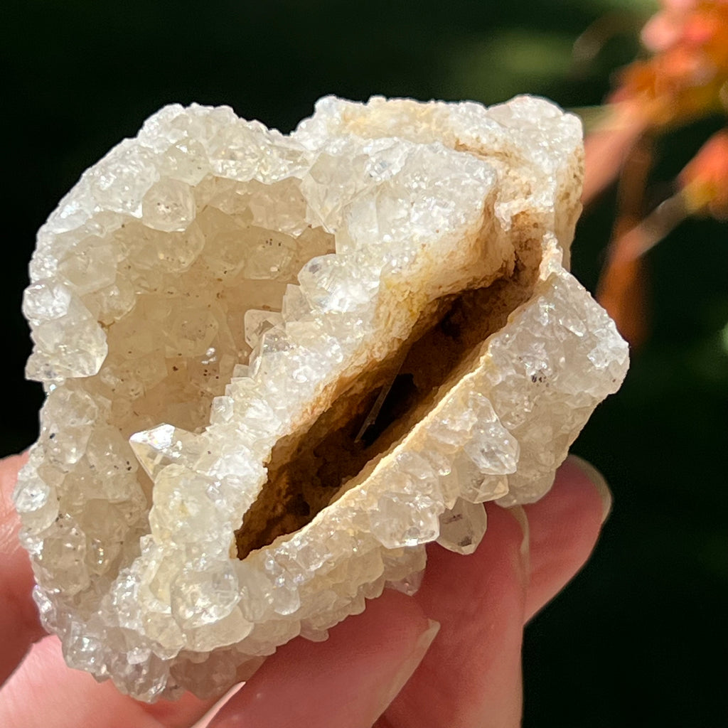 Cluster cuart lamaie Zambia, golden healer model Lm1, pietre semipretioase - druzy.ro 7
