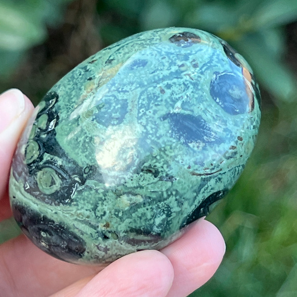 Palmstone jasp kambaba model 5, pietre semipretioase - druzy.ro 8 