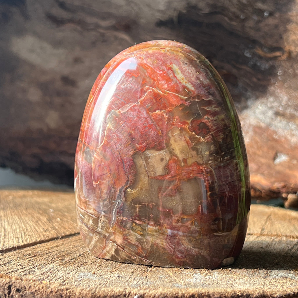 Lemn pietrificat sculptura model 3, pietre semipretioase - druzy.ro 1 