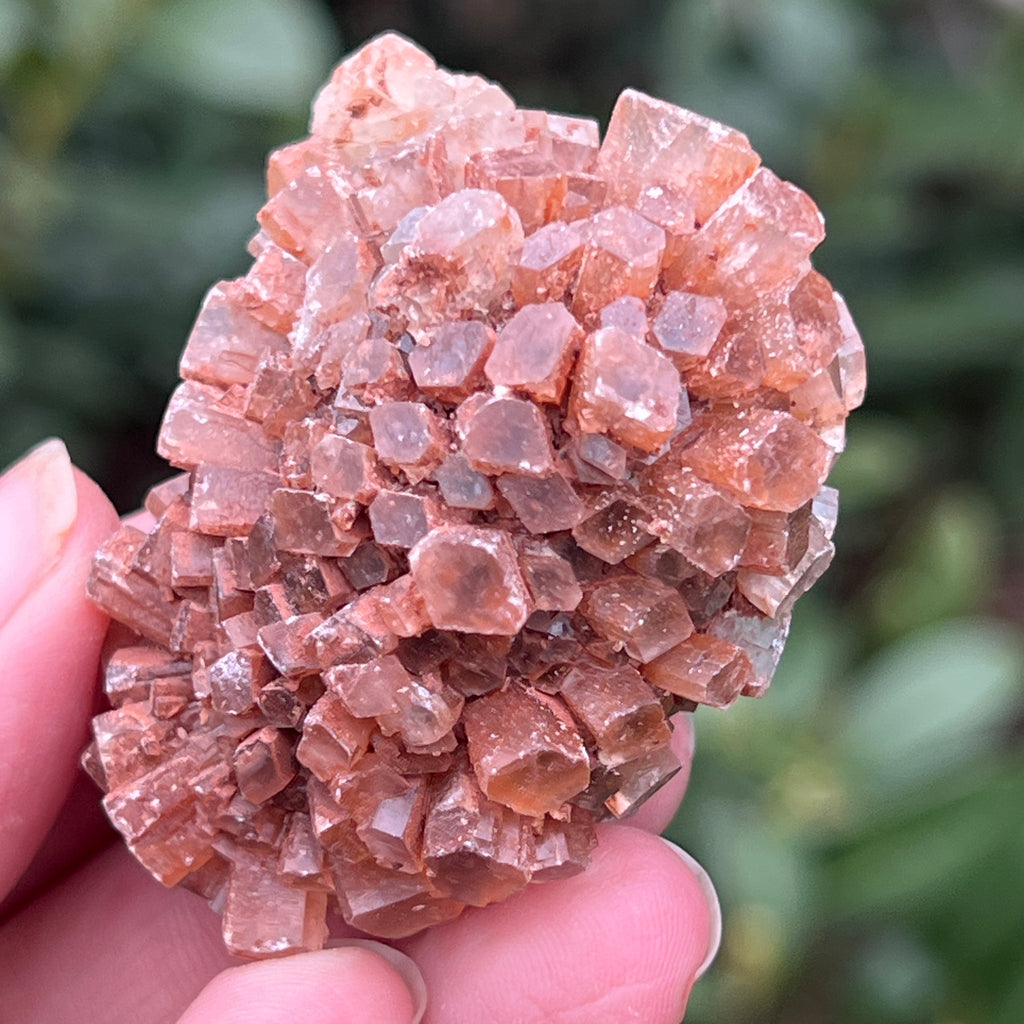 Cluster cristal aragonit din Maroc model L2, pietre semipretioase - druzy.ro 4 