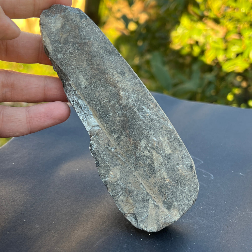 Fosil Orthoceras model 8, pietre semipretioase - druzy.ro 3 