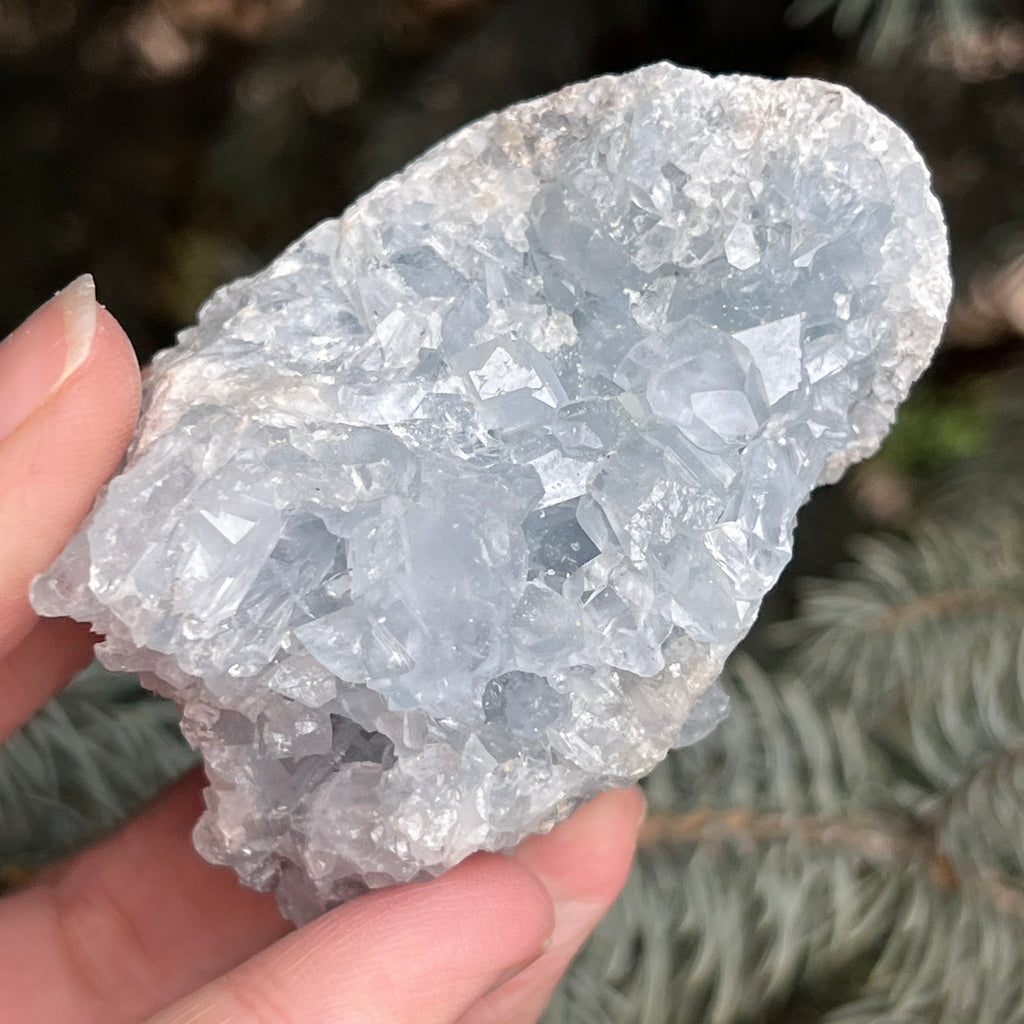 Celestit / celestina cluster m1, pietre semipretioase - druzy.ro 1 