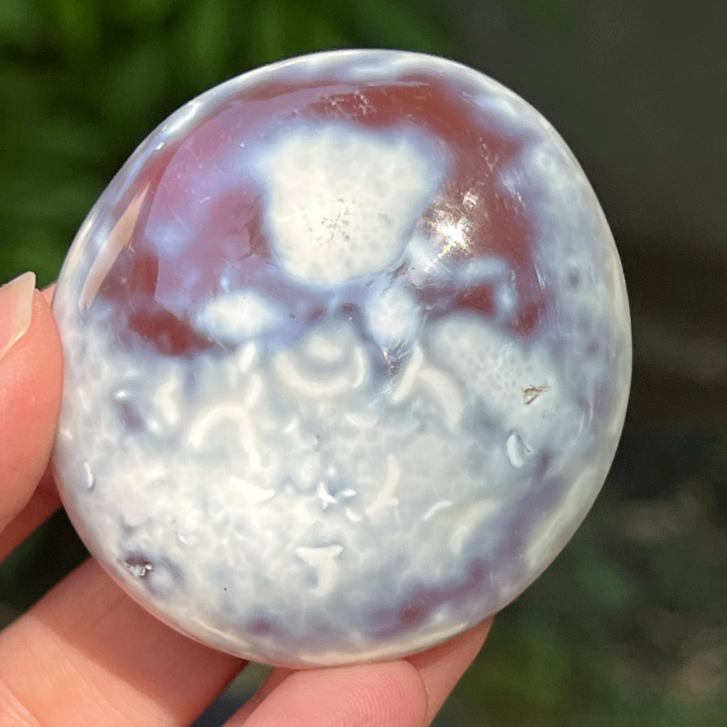 Agat Orca palmstone model 4, pietre semipretioase - druzy.ro 1 