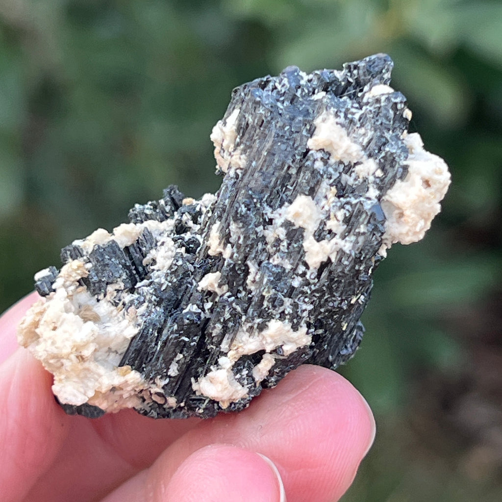 Cluster turmalina neagra cu vermiculita din Erongo m12, pietre semipretioase - druzy.ro 2 