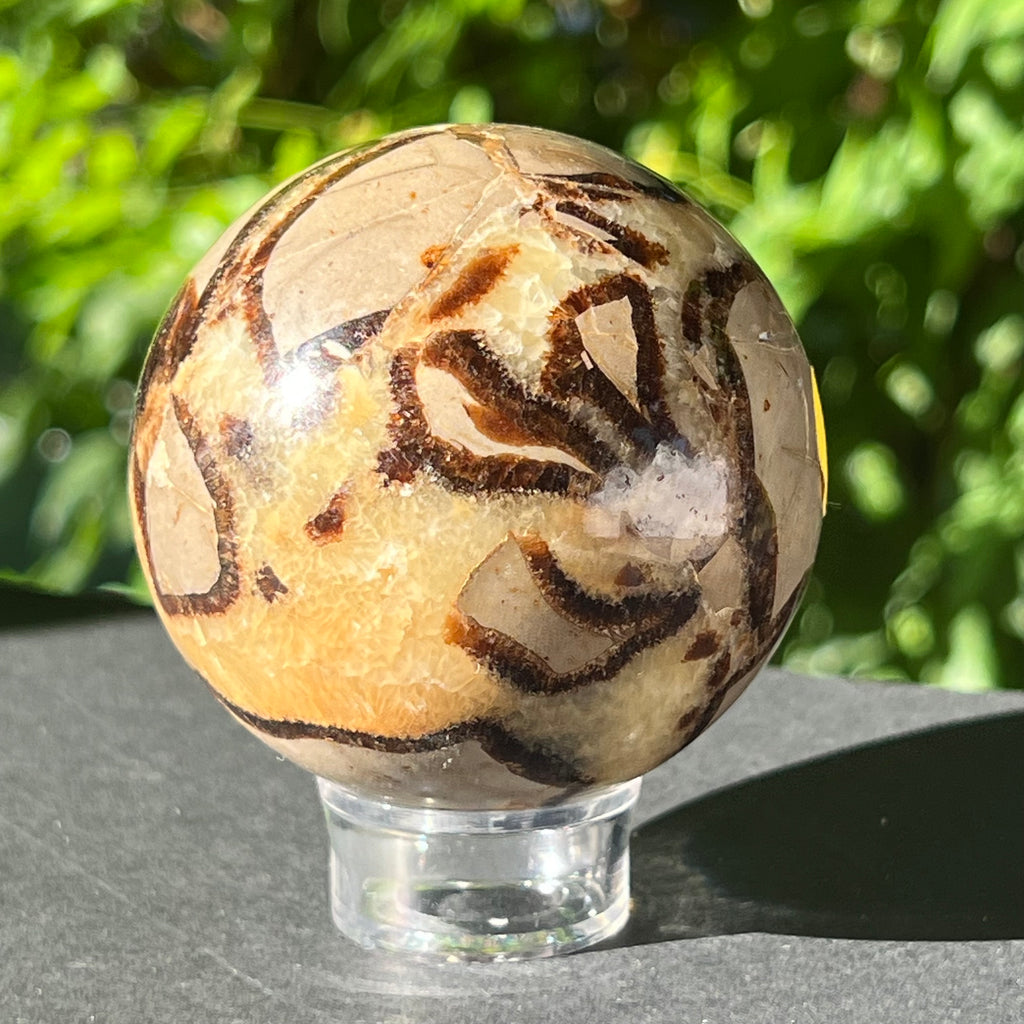 Septaria sfera 6.5 cm model 3, druzy.ro, cristale 4