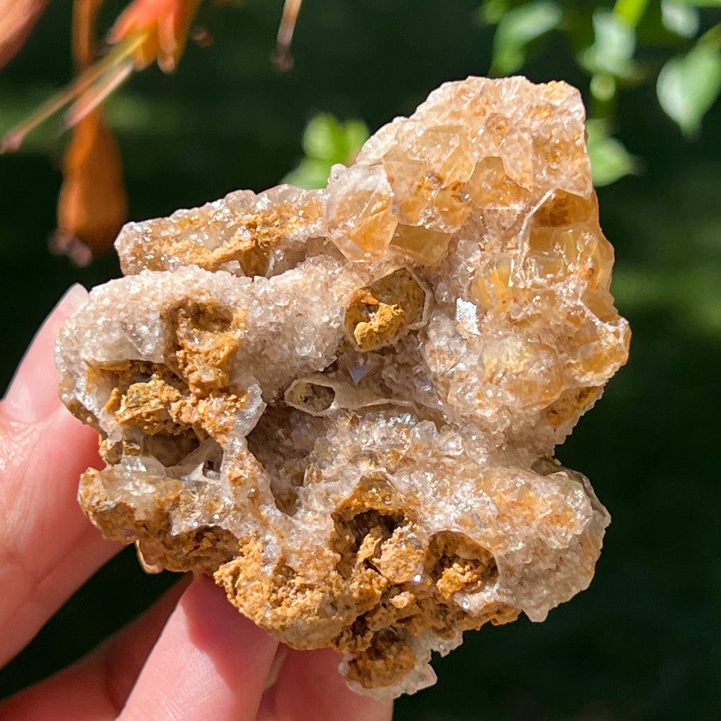 Cluster cuart lamaie Zambia, golden healer model Lm3, pietre semipretioase - druzy.ro 1