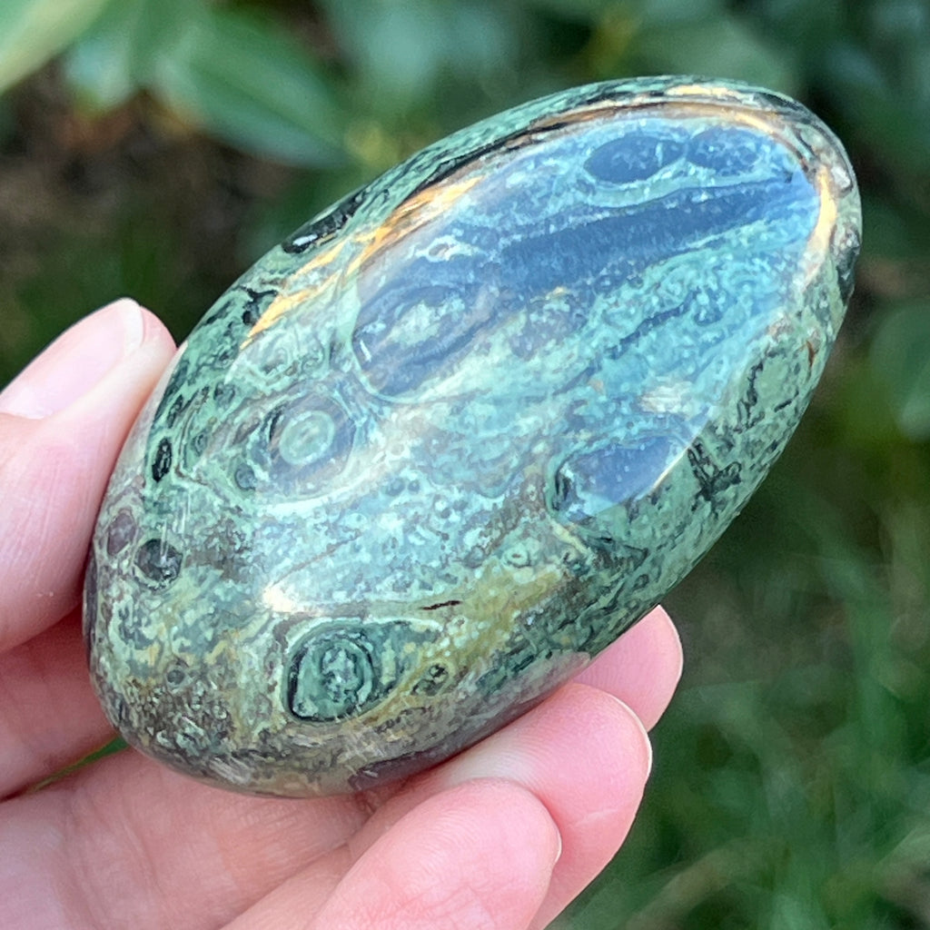 Palmstone jasp kambaba model 10, pietre semipretioase - druzy.ro 5 