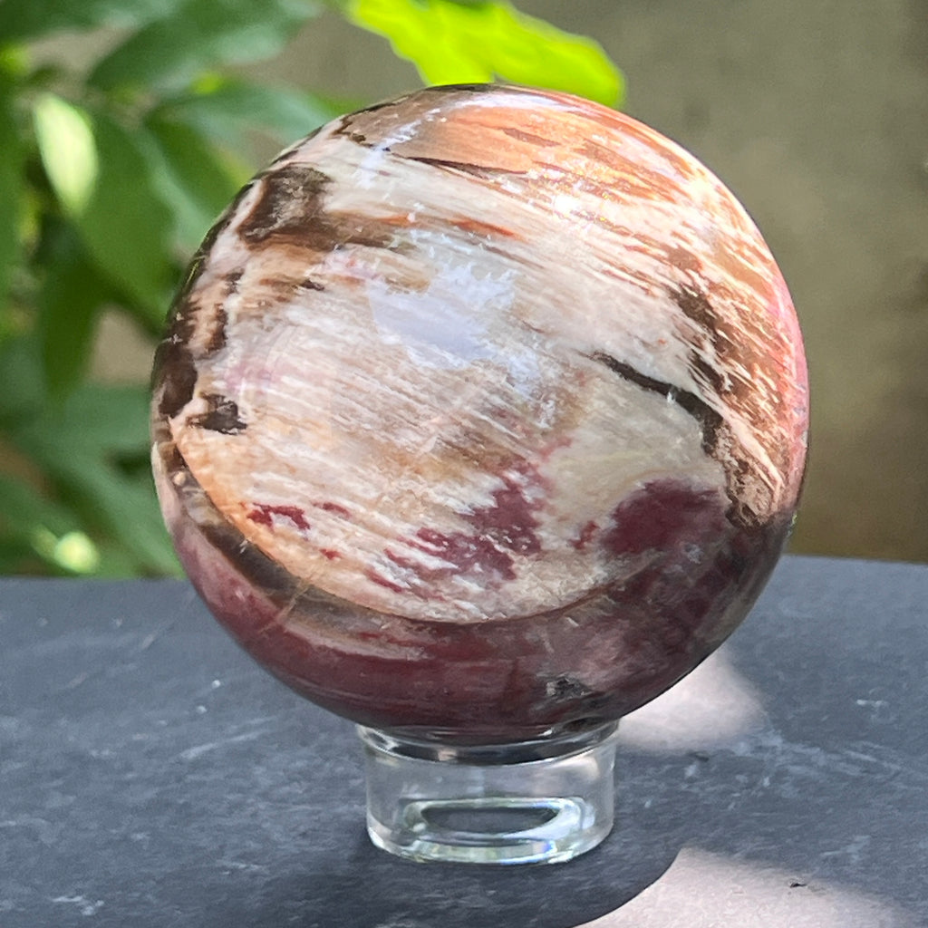 Sfera lemn pietrificat | Model 1, pietre semipretioase - druzy.ro 6 