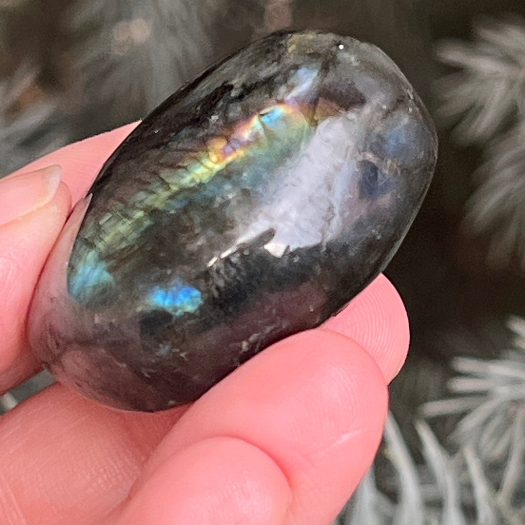 Labradorit palm stone m1, pietre semipretioase - druzy.ro 3 