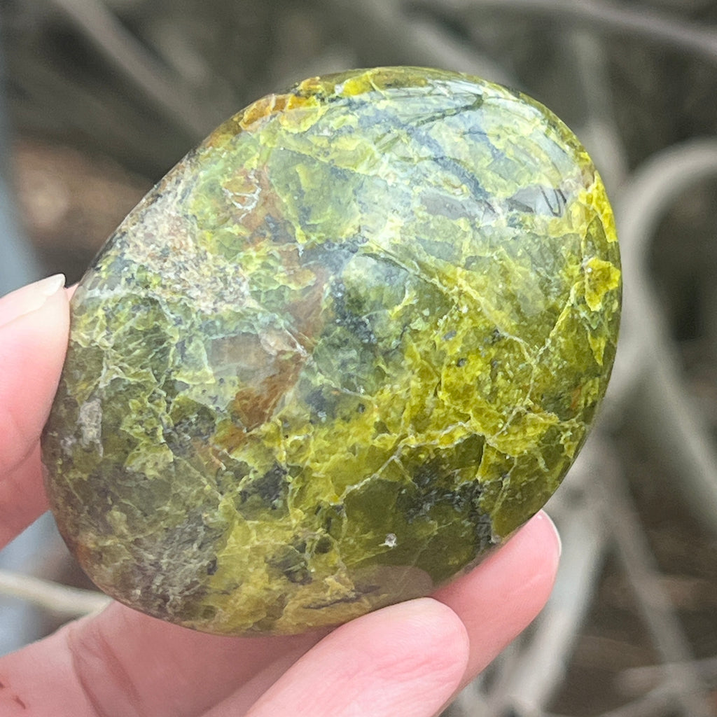 Opal verde palmstone m5, pietre semipretioase - druzy.ro 2 