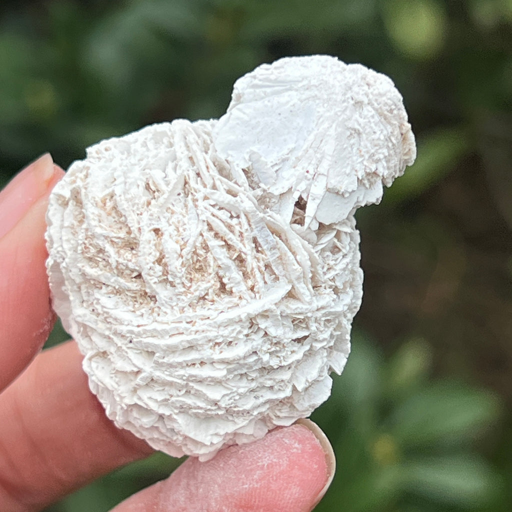 Trandafirul desertului model 6, pietre semipretioase - druzy.ro 1 