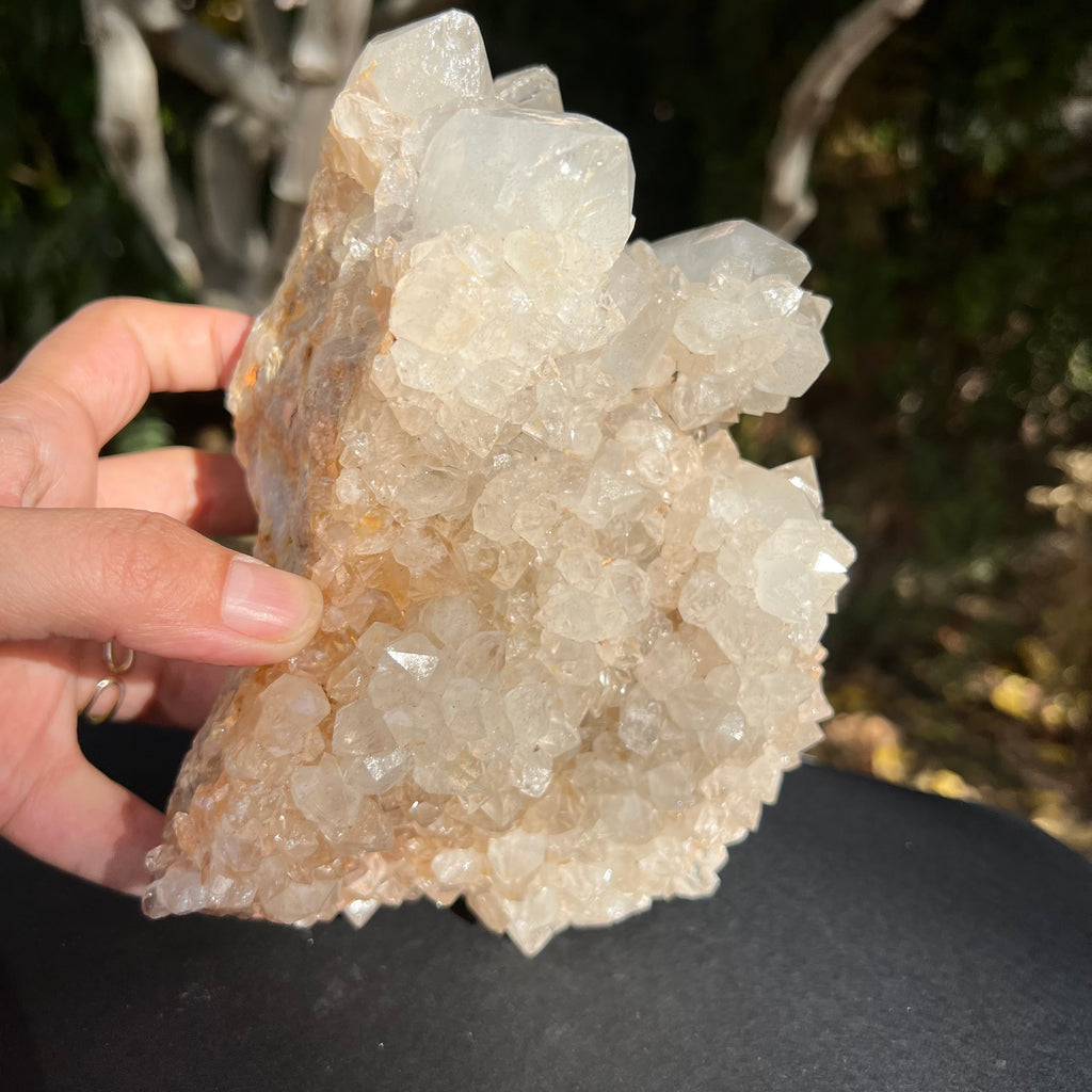 Cluster XL cuart cactus / cuart spirit model 1 Africa de Sud, druzy.ro, cristale 5
