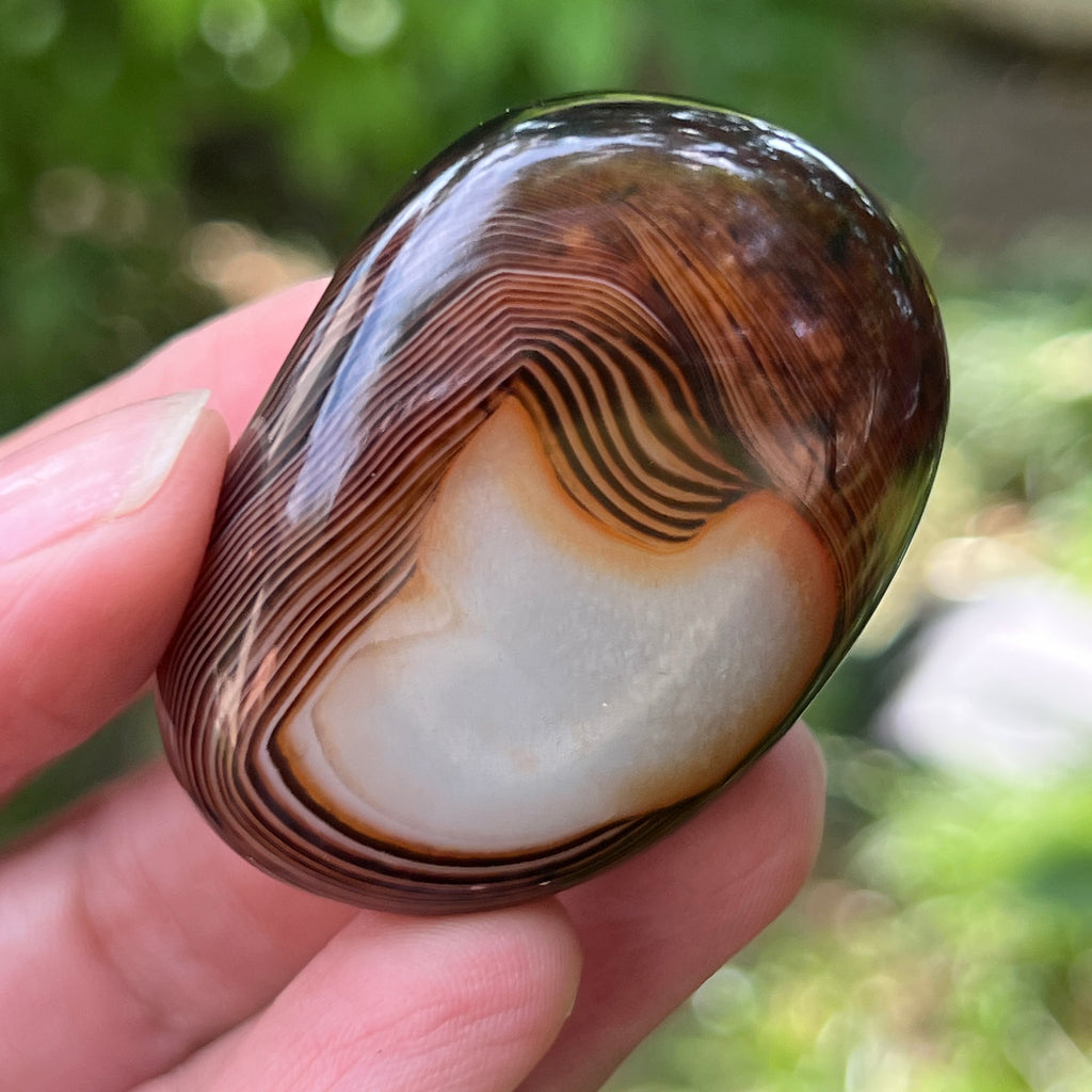 Palmstone agat dungat m3, pietre semipretioase - druzy.ro 1 
