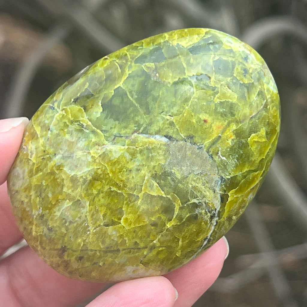 Opal verde palmstone m12, pietre semipretioase - druzy.ro 1 