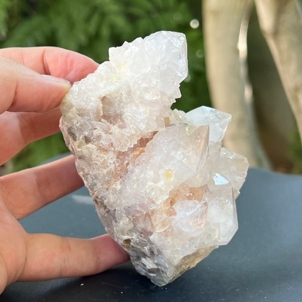 Cluster cuart cactus / cuart spirit FLOWER model F7, druzy.ro, pietre semipretioase 11